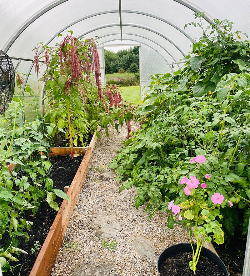 greenhouse
